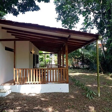 Vila Green Papaya Puerto Viejo de Talamanca Exteriér fotografie