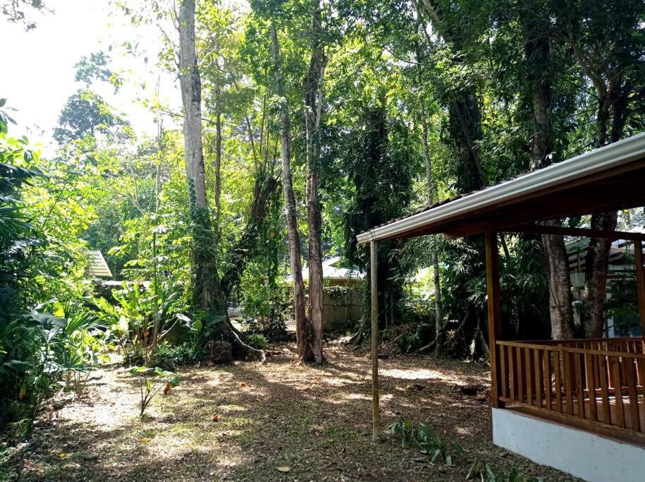 Vila Green Papaya Puerto Viejo de Talamanca Exteriér fotografie