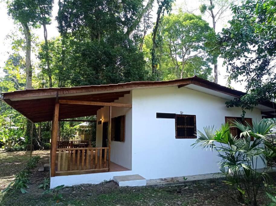 Vila Green Papaya Puerto Viejo de Talamanca Exteriér fotografie