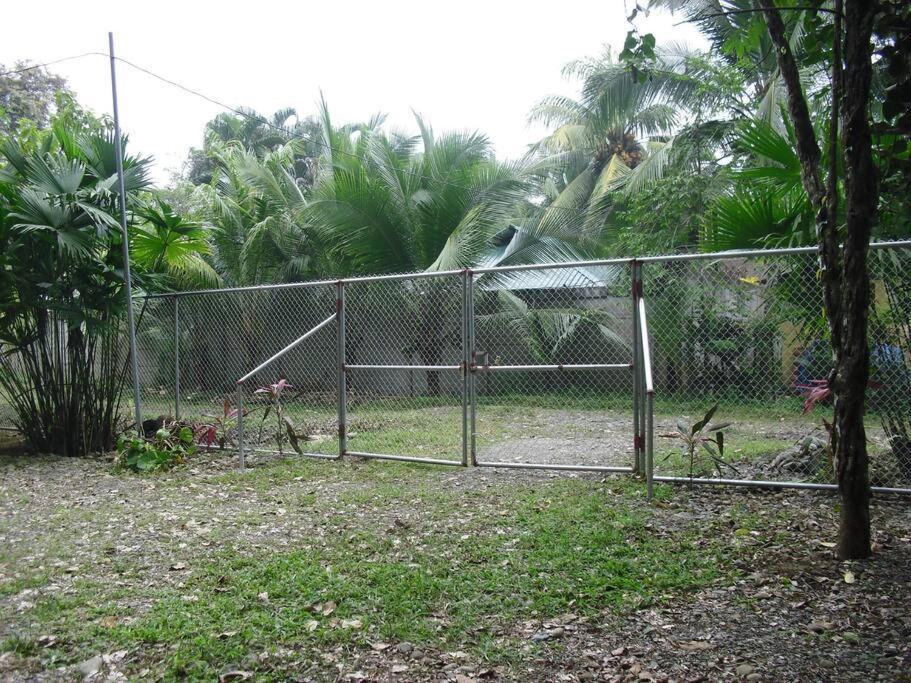 Vila Green Papaya Puerto Viejo de Talamanca Exteriér fotografie