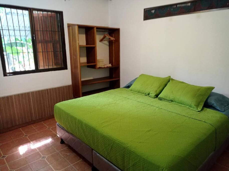 Vila Green Papaya Puerto Viejo de Talamanca Exteriér fotografie