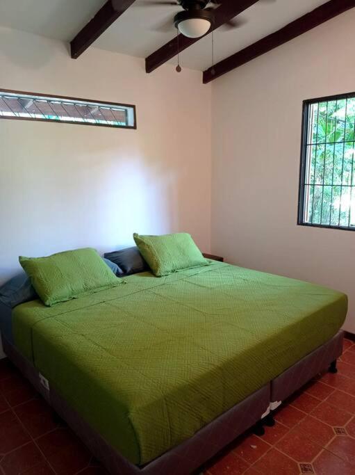 Vila Green Papaya Puerto Viejo de Talamanca Exteriér fotografie
